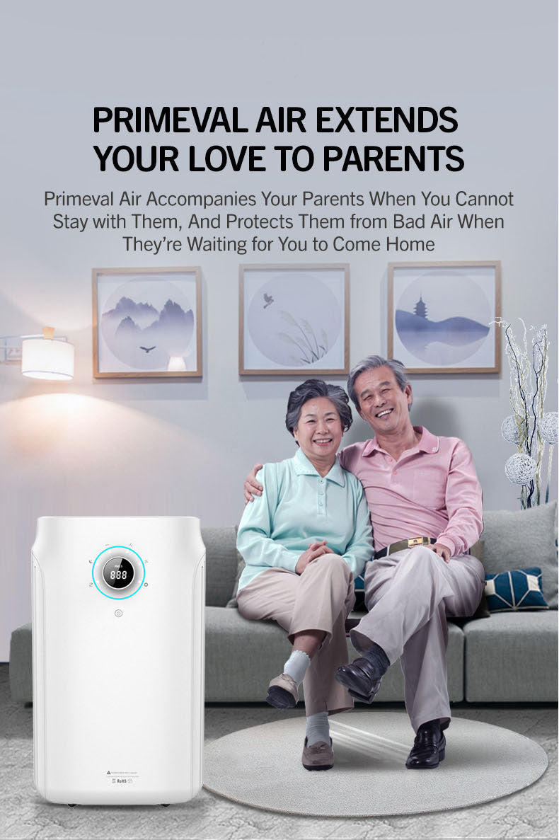 Air Purifier for Large Space House Household High Cadr Air Fresher & High Effective formaldehyde Removal Machine YDKJ700F-S82022