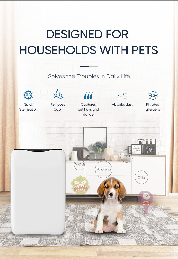 Household Mini Air Cleaner Removal of Pm2.5, Smoke, pets' Dander, Pollen YDWA-19022022
