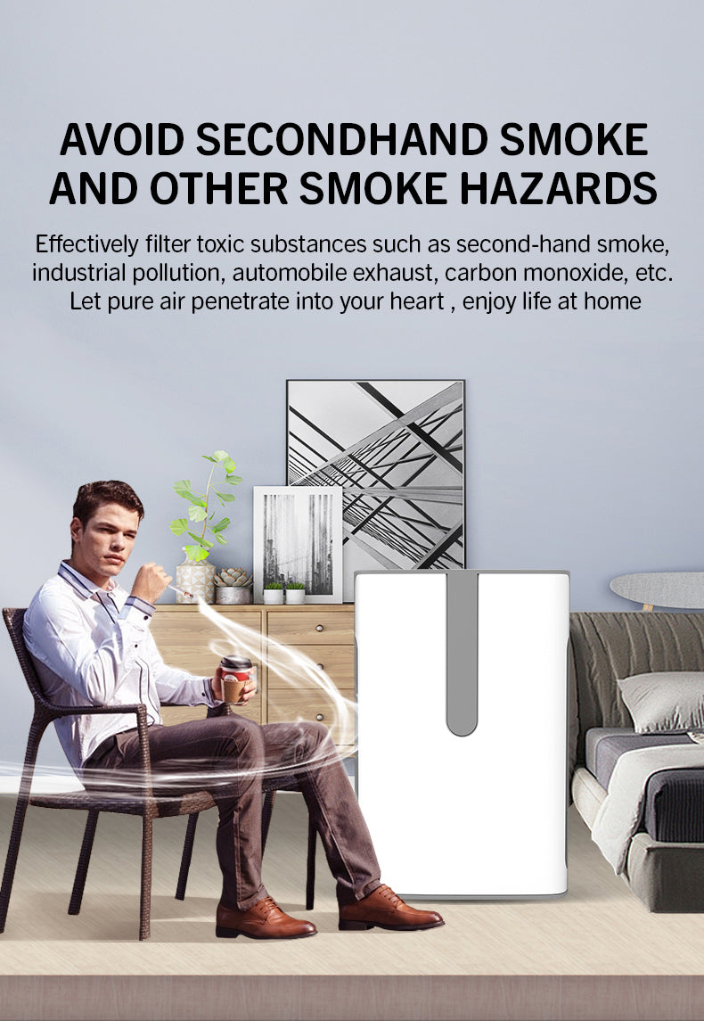 Portable Air Cleaner with Constant Humidification YDKJ310F-E82022