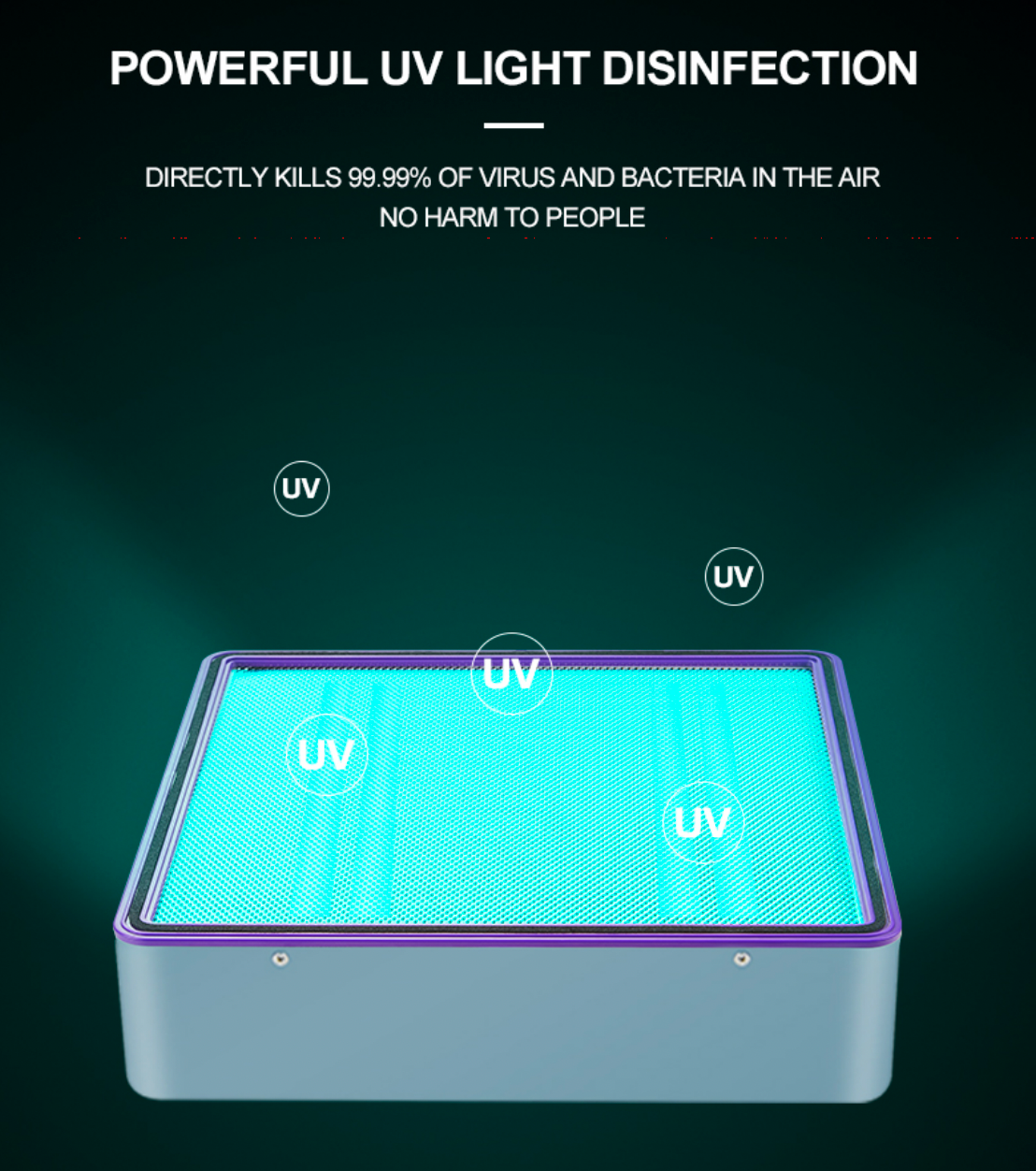 Professional Air Disinfection Purifier