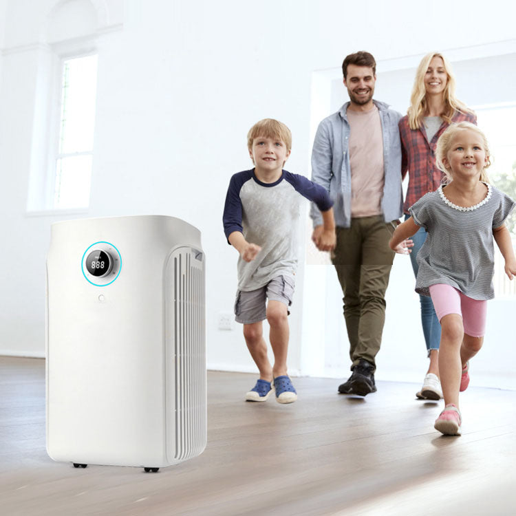 Air Purifier for Large Space House Household High Cadr Air Fresher & High Effective formaldehyde Removal Machine YDKJ700F-S82022