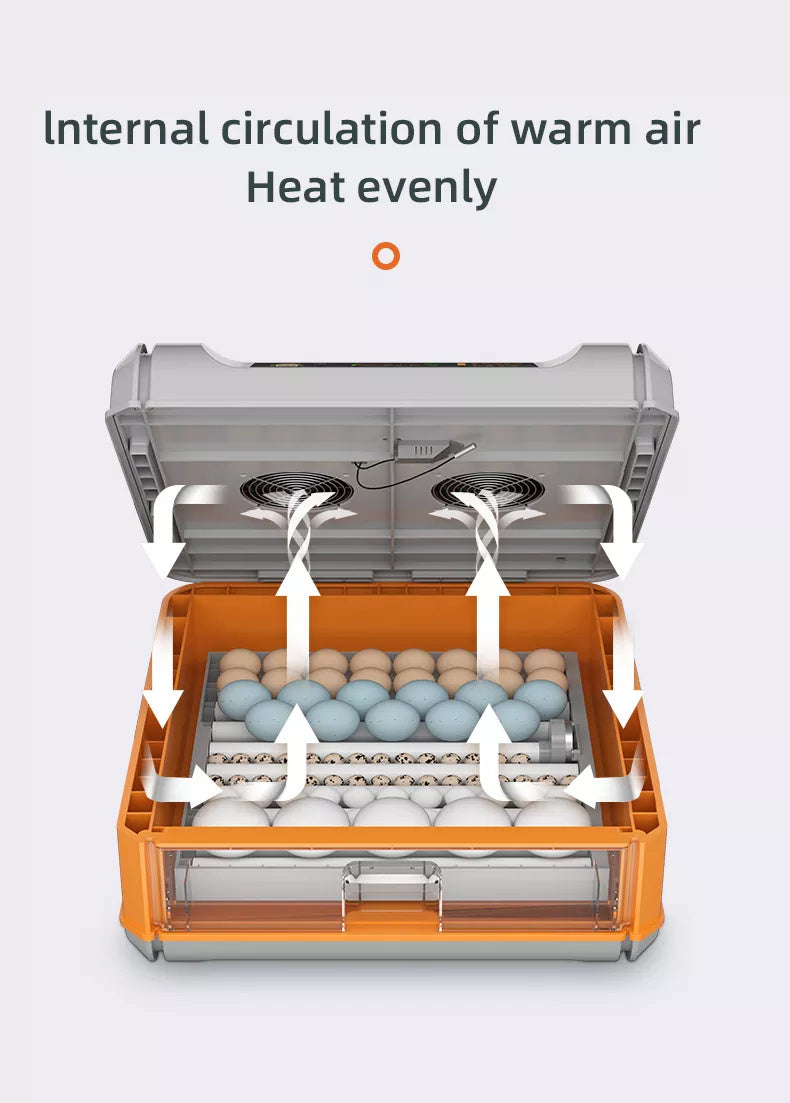Mini automatic egg incubator