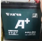 4 Battery 48V20A and charger