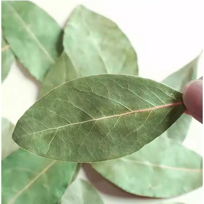 Original Bag Whole Bay Leaf for Spices Leaves