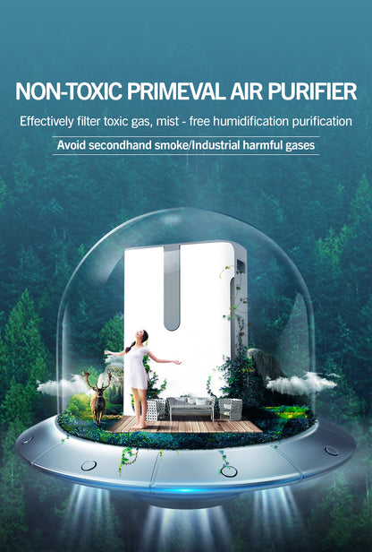 Portable Air Cleaner with Constant Humidification YDKJ310F-E82022