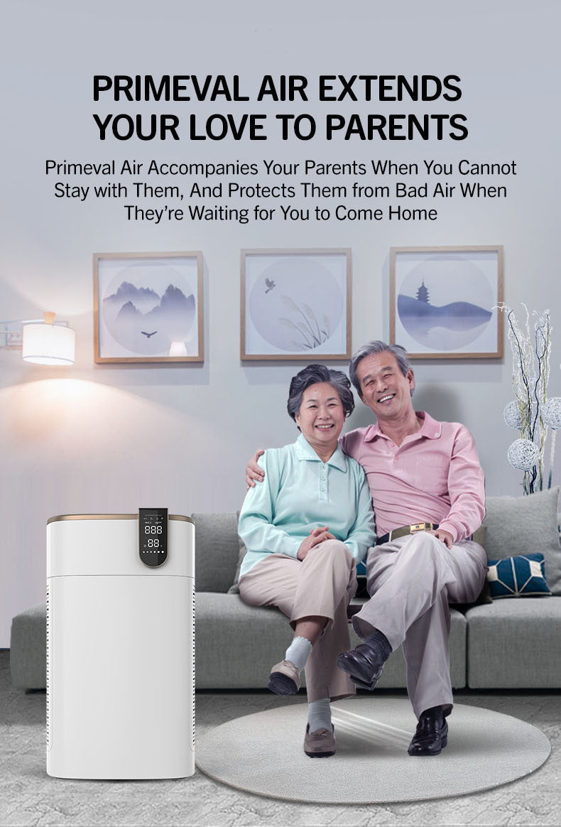 Air Purifier with True Hepa For Large Room YDKJ800F-S92022