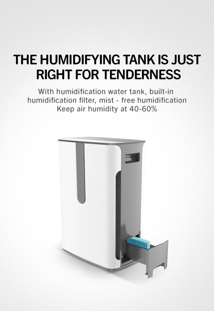 Portable Air Cleaner with Constant Humidification YDKJ310F-E82022