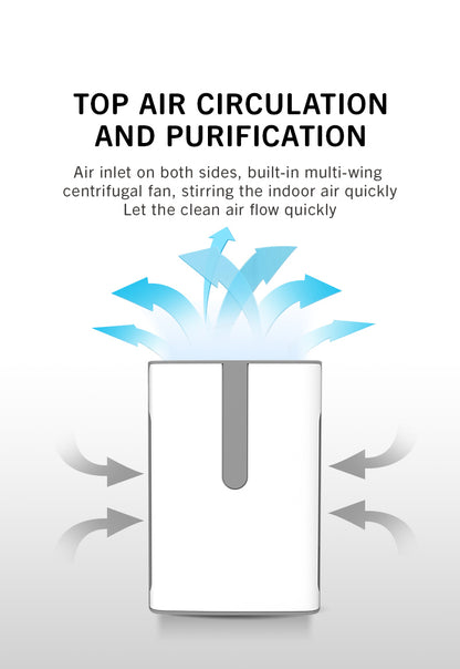 Portable Air Cleaner with Constant Humidification YDKJ310F-E82022