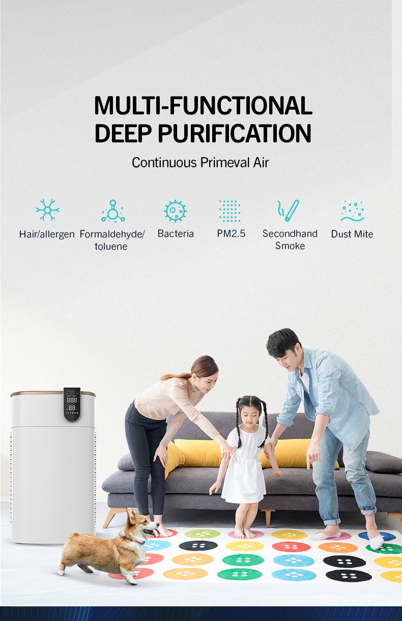 Air Purifier with True Hepa For Large Room YDKJ800F-S92022