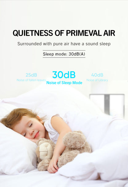 Portable Air Cleaner with Constant Humidification YDKJ310F-E82022