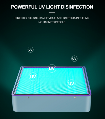Professional Air Disinfection Purifier