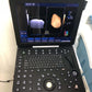 professional laptop 4D color ultrasound scanner MSLCU64