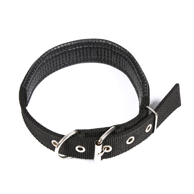 Pet Collar Pet Dog Collar Foam Sponge Dog Collar