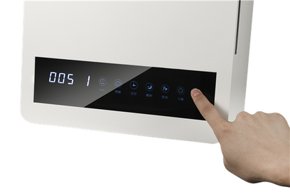 Wall-mounted Fresh Air Ventilator Purifier YDXF200-F01-D092022