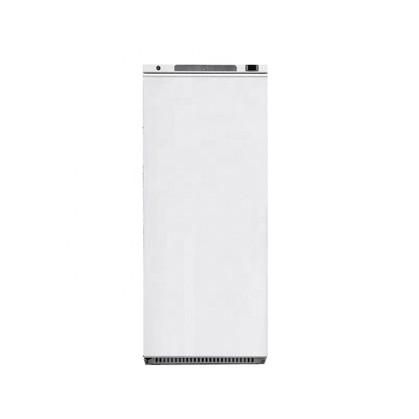 -25 Celsius Freezer 400L Vertical Low Temperature Freezer Refrigerator