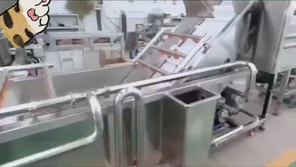 Linear filling machine1