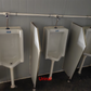 Flat-pack Container House (toilet)