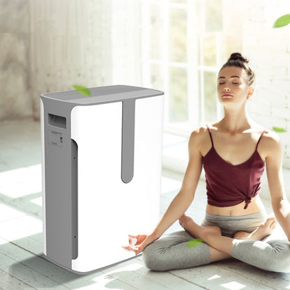 Portable Air Cleaner with Constant Humidification YDKJ310F-E82022