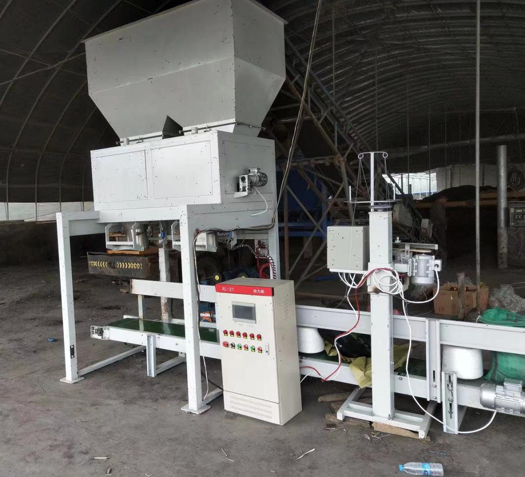 Double Scales Packing Machine